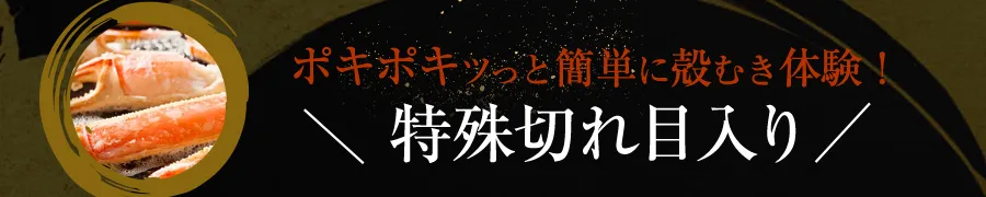 特殊切れ目入り