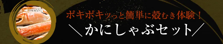 特殊切れ目入り