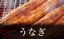 うなぎ