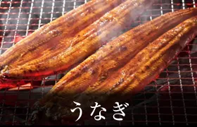 うなぎ