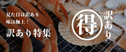 訳あり特集