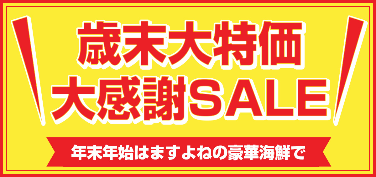 �������ò� �紶��SALE