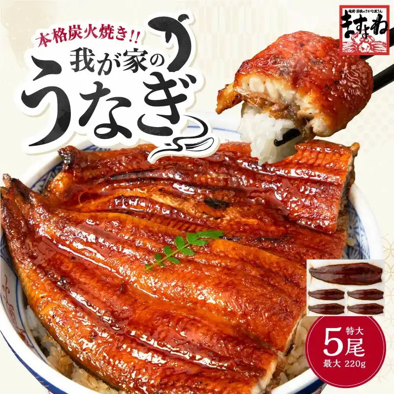 c-unagi1000_01.webp