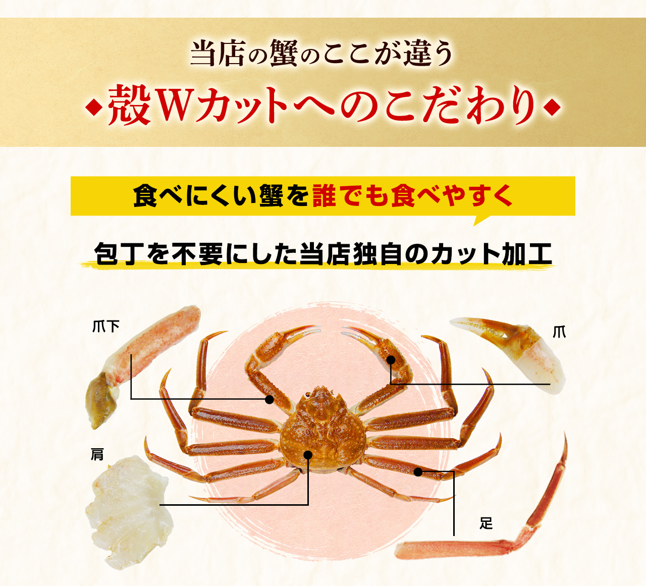 蟹　かに　お刺身OK☆カット済み生本ずわい蟹　カニ　カニ通販　ズワイガニ　ずわい蟹　特盛1.8kg