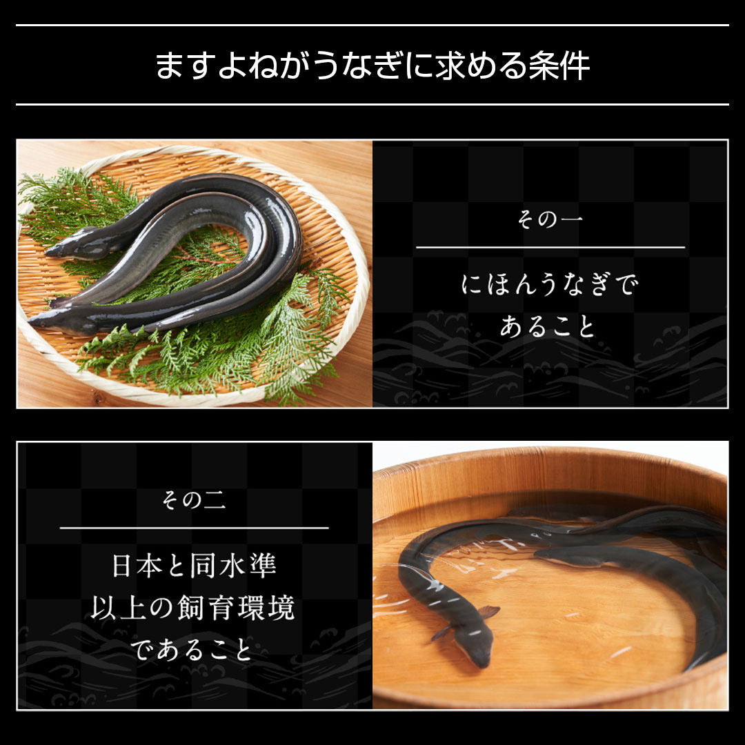 伊藤産業 KY-M 業務用 万能焼器 うなぎの蒲焼に ガス専用 800mm