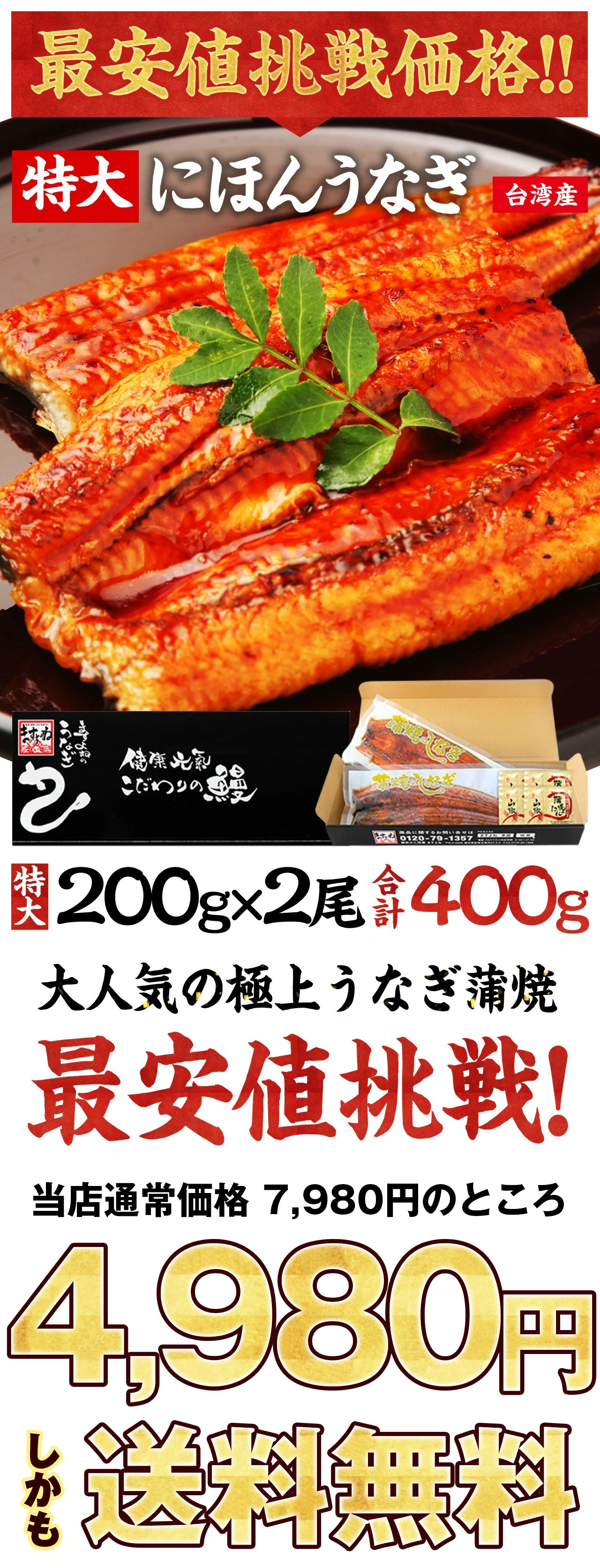 セールSALE％OFF 絶品 珍味 肝焼き 100g×2 おつまみ 鰻蒲焼 スルメ b