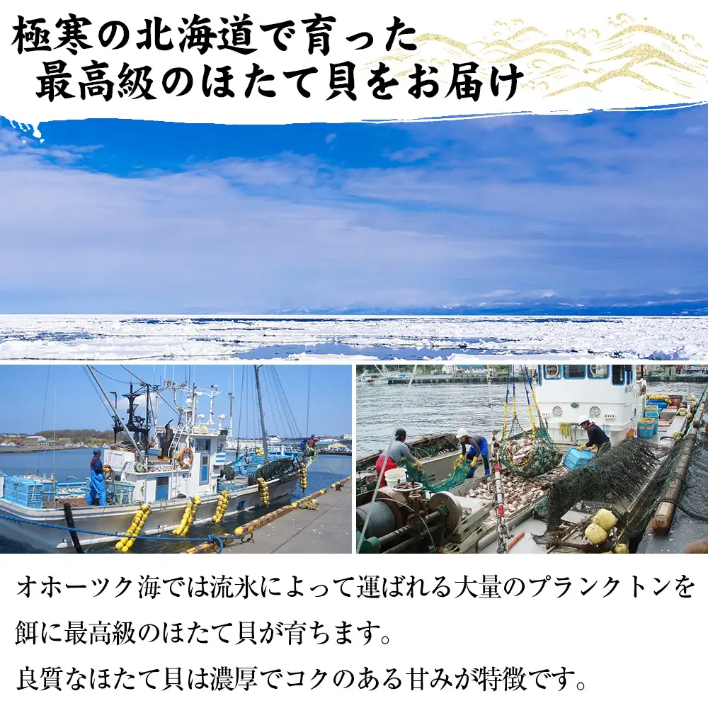 ちょっと訳あり 生ほたて貝柱 1kg