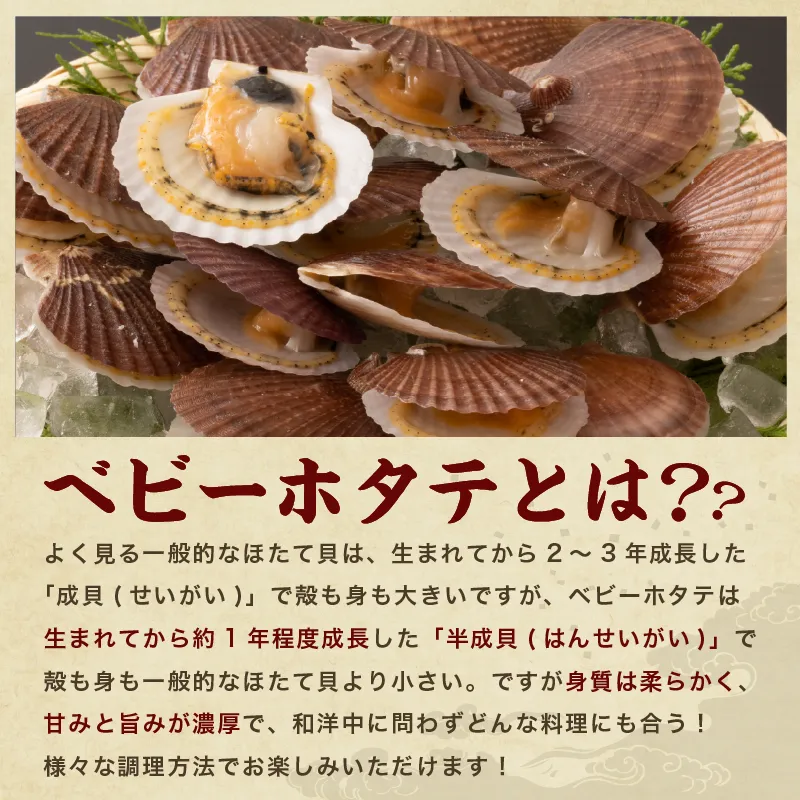1粒1粒丁寧に育てました。青森県産ボイルホタテ（２キロ） 44678746e0f81776a6a801edecdb00