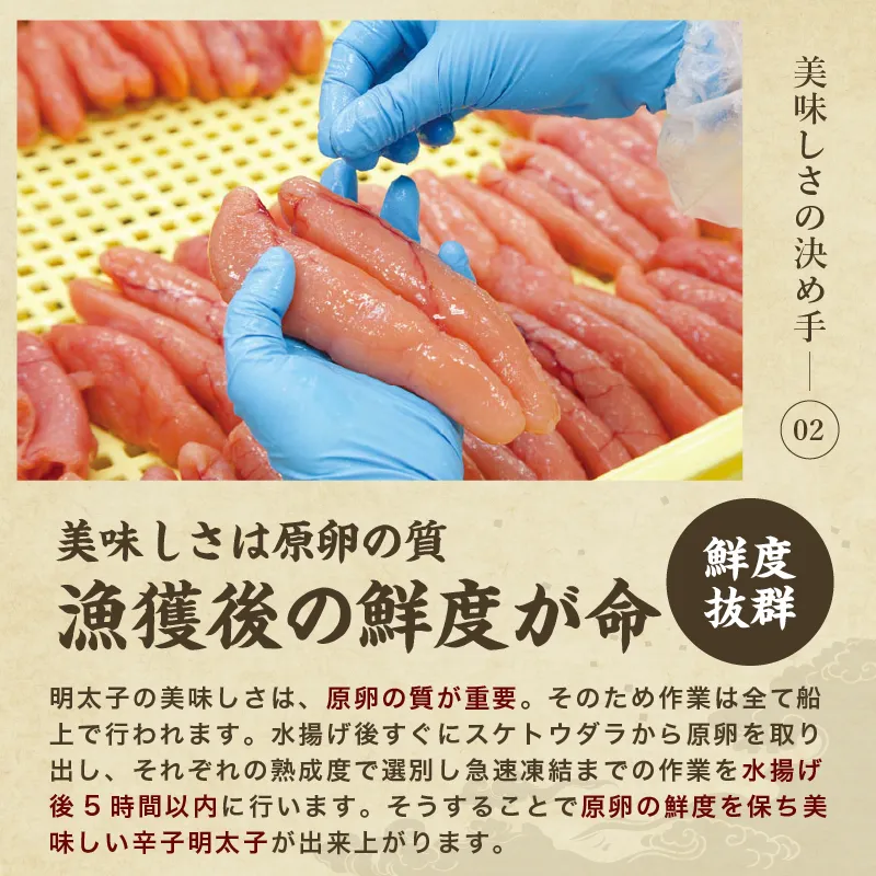 明太子 辛子 訳あり 無着色 【訳あり】辛子明太子 1kg(500g×2)