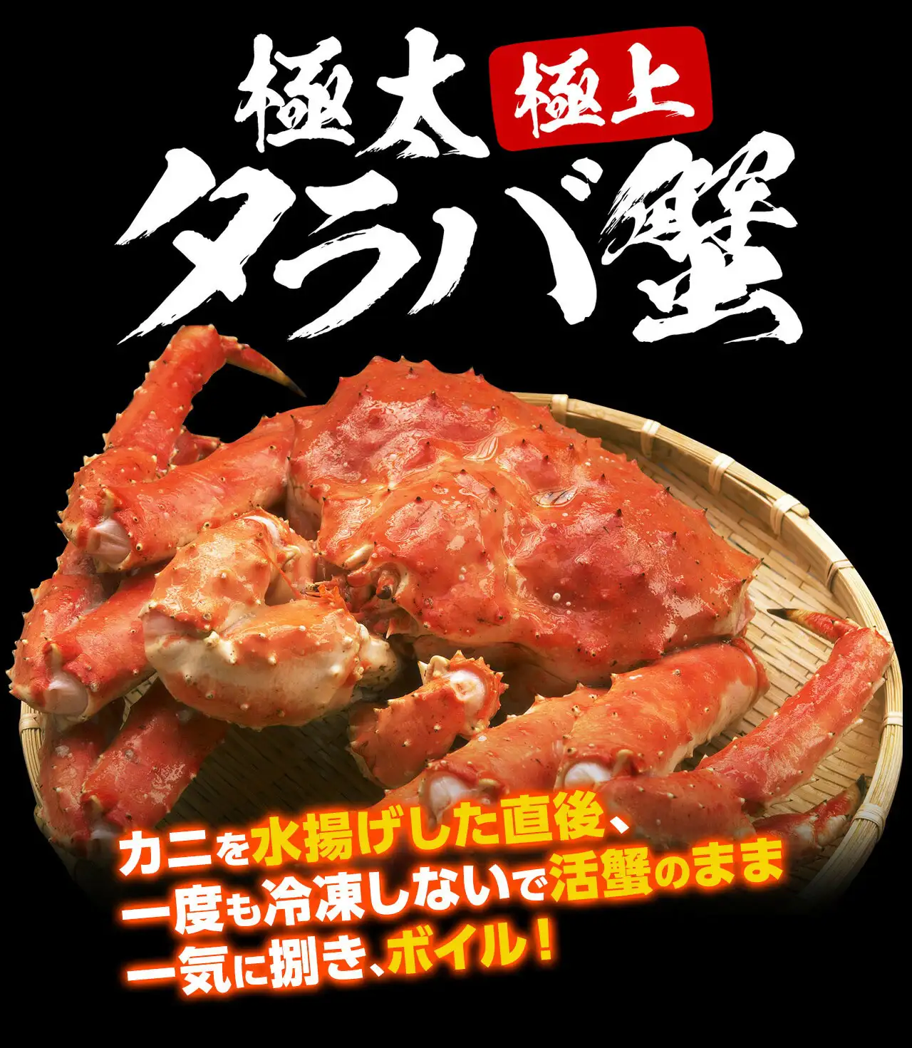 極上特大タラバ蟹/足900g(総重量1kg前後) 極上特大タラバ蟹/足900g(総重量1kg前後)