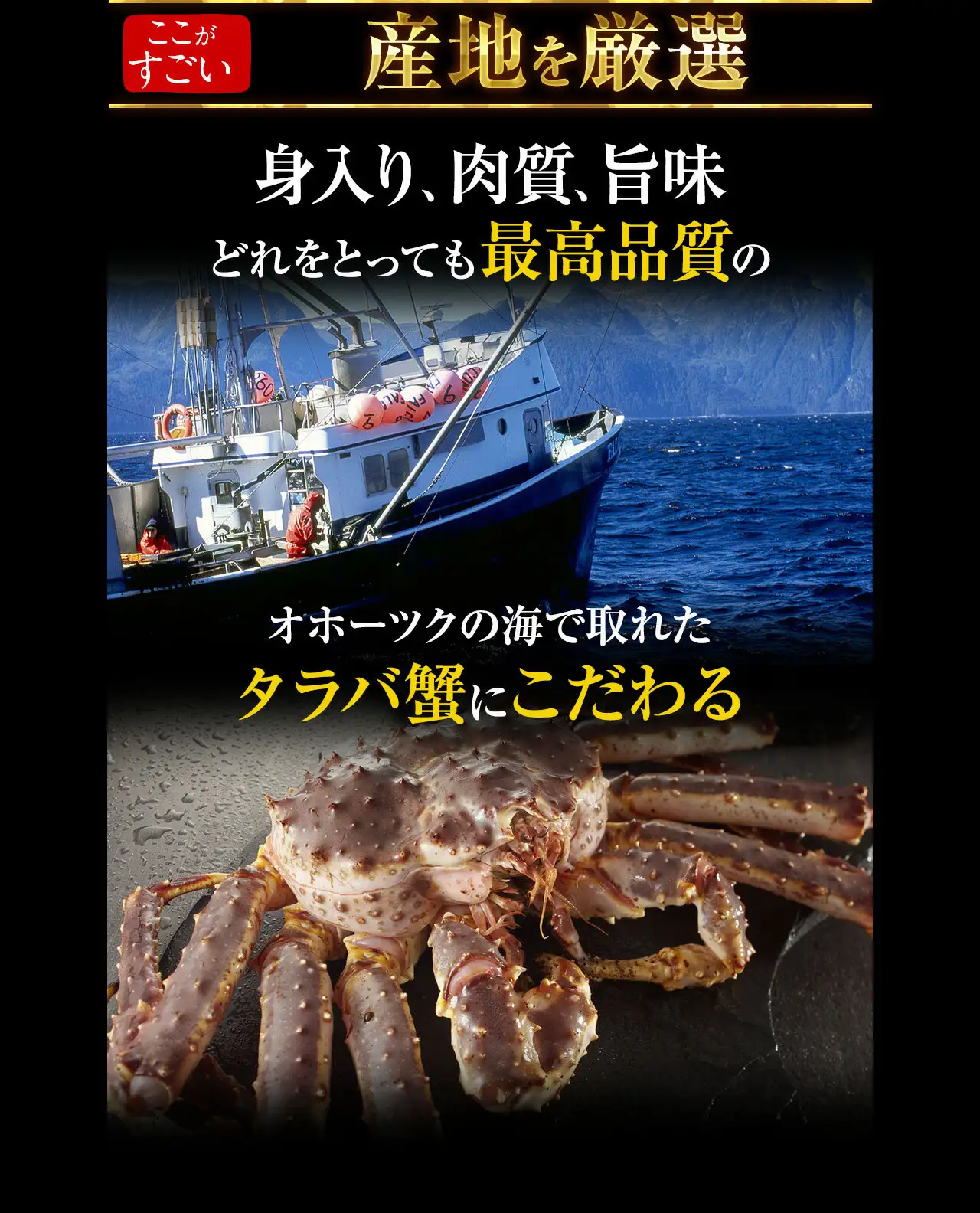 極上特大タラバ蟹/足900g(総重量1kg前後) 極上特大タラバ蟹/足900g(総重量1kg前後)