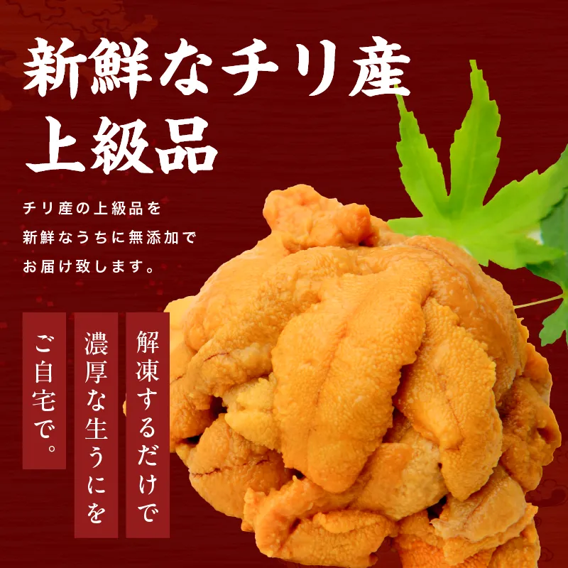 ミョウバン不使用生うに300g（100g×3p）